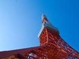 Private Tokyo Custom Full-Day Tour by Chartered Vehicle