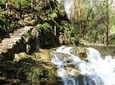 Private Tour: Amalfi Valle delle Ferriere Nature Reserve Walking Tour
