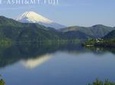 Custom Private Tour in Hakone with Optional Hot Springs Experience