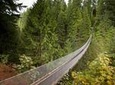 Private Tour: Capilano Suspension Bridge and Grouse Mountain