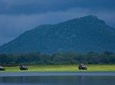 Udawalawe National Park Private Safari