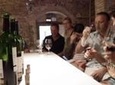 Private Wine and Oil Tour in the Priorat Wine Region