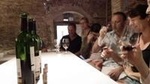 Private Wine and Oil Tour in the Priorat Wine Region