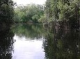 Private YS Falls and Black River Safari from Runaway Bay