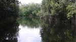 Private YS Falls and Black River Safari from Runaway Bay