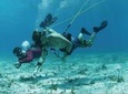 THREE ADVENTURES: Sailing Catamaran - Hooka Diving - Snorkeling
