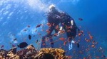 Red Sea Full-Day Introduction to Scuba Diving