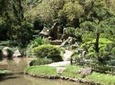 Rio de Janeiro Botanical Garden Tour
