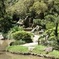 Rio de Janeiro Botanical Garden Tour