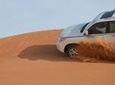 Safari Half-Day Adventure from Abu Dhabi