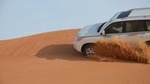 Safari Half-Day Adventure from Abu Dhabi