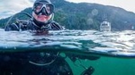 Scuba Diving and Boat Tour Adventure