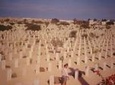 Shore Excursion: Day Trip to World War II Cemeteries in El Alamein from Alexandria Port