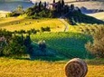 Montalcino, Pienza and Montepulciano Wine tour