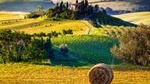 Montalcino, Pienza and Montepulciano Wine tour
