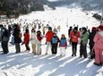 Full-Day Ski Package at Jisan Ski Resort from Seoul