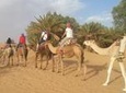 Moroccan Desert 3-Day Tour from Marrakech