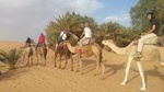 Moroccan Desert 3-Day Tour from Marrakech