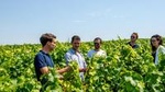 Reims: Small-Group Champagne Tour with Champagne Tastings and Lunch 