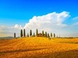 Montalcino Wine and Romance Semi Private Day Tour from Florence Including Lunch