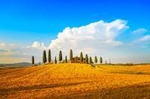 Montalcino Wine and Romance Semi Private Day Tour from Florence Including Lunch