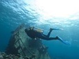 Aruba 2-Tank Dive Experience