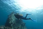 Aruba 2-Tank Dive Experience