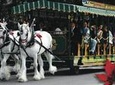 Stanley Park Horse-Drawn Tour