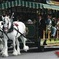 Stanley Park Horse-Drawn Tour