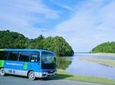 Stewart Island: Village and Bays Tour