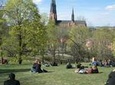 Swedish Lifestyle and Private Walking Tour of Uppsala