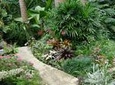 Taste of Barbados Full-Day Sightseeing Tour