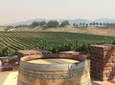 Temecula Wine Country Tour from San Diego