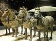 Xian Terracotta Warriors and City Wall Private Day Tour