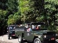 Tijuca Forest Jeep Tour
