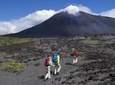 Hike to Pacaya Volcano from Antigua