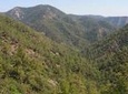 Troodos and Kykkos Day Tour from Paphos