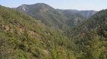 Troodos and Kykkos Day Tour from Paphos