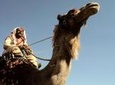 Two Days Camel Safari from Dahab