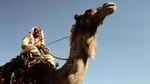Two Days Camel Safari from Dahab