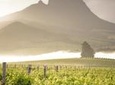 Vine Hopper: Hop-On Hop-Off Wine Tour - Northern Route