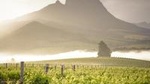 Vine Hopper: Hop-On Hop-Off Wine Tour - Northern Route