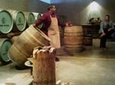 Vine Hopper: Hop-On Hop-Off Wine Tour - Southern Route