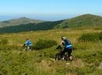 Vitosha Trail Hunter Bike Tour from Sofia