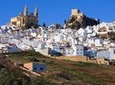 Private Guided Day Trip to the White Villages from Seville