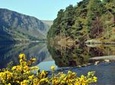 Wicklow, Powerscourt, and Glendalough Tour from Dublin