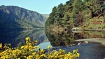 Wicklow, Powerscourt, and Glendalough Tour from Dublin
