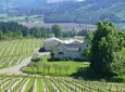 Willamette Valley Wine-Tasting Tour from Portland