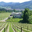 Willamette Valley Wine-Tasting Tour from Portland