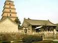 Xi'an Private Day Tour: Terracotta Warriors and Big Wild Goose Pagoda